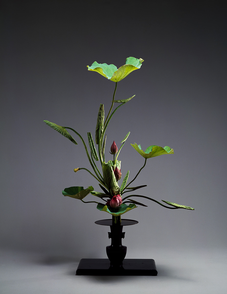 Kosen Ohtsubo“Rikka of Lotus”